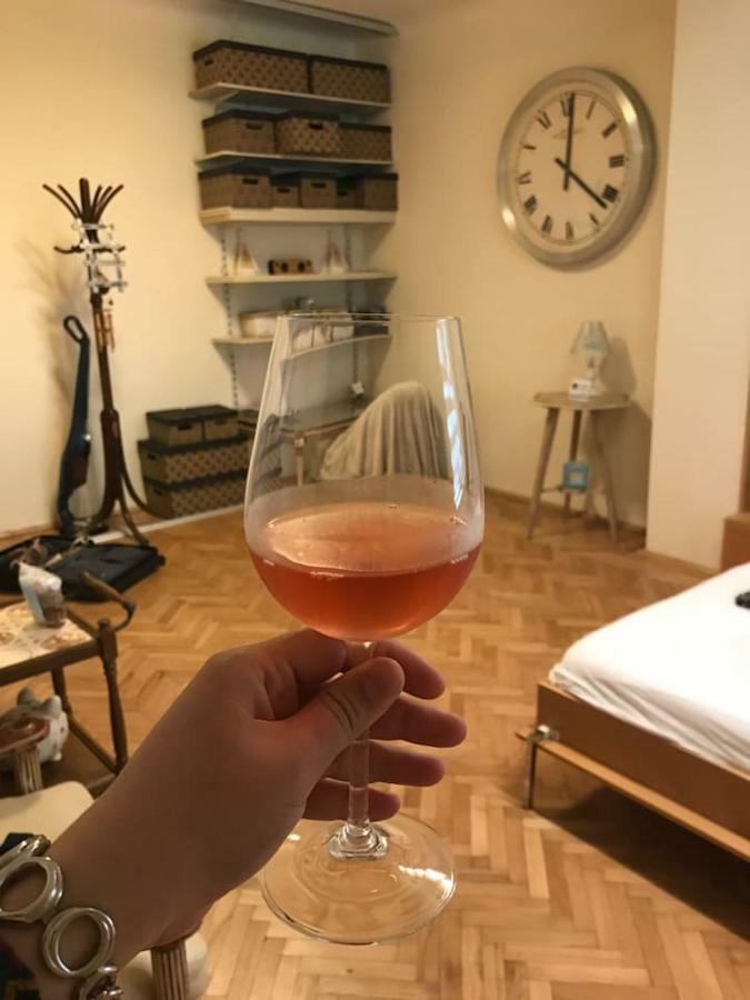 Apartment Vintige Kaloşvar Dış mekan fotoğraf